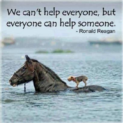 Everyone can help someone